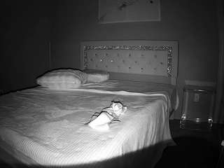 voyeurcam-whitneyoc-01