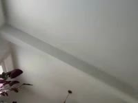 Hello, jeune homme plutôt beau garçon et sexy, prêt à passer un bon moment avec toi