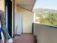 HELLO EVERYONE. I am pussycatdollyes .here for you and YOUR PLEASURE .let’s play togheter