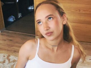 webcam chatroom VeniceMidden